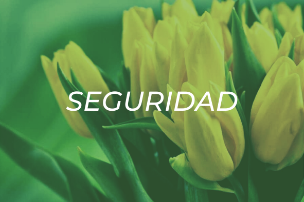 Seguridad - Biothermics