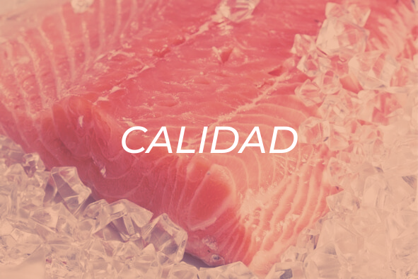 Calidad - Biothermics